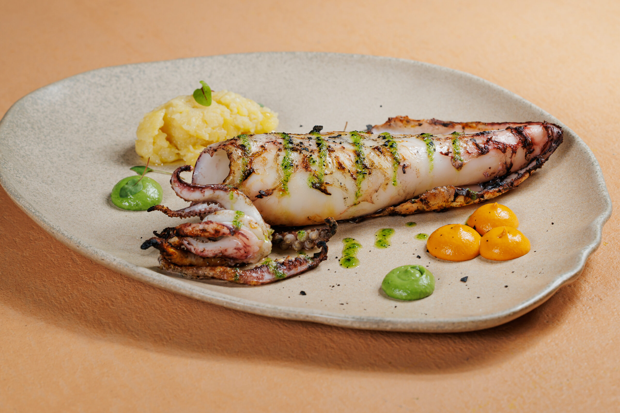 Squid