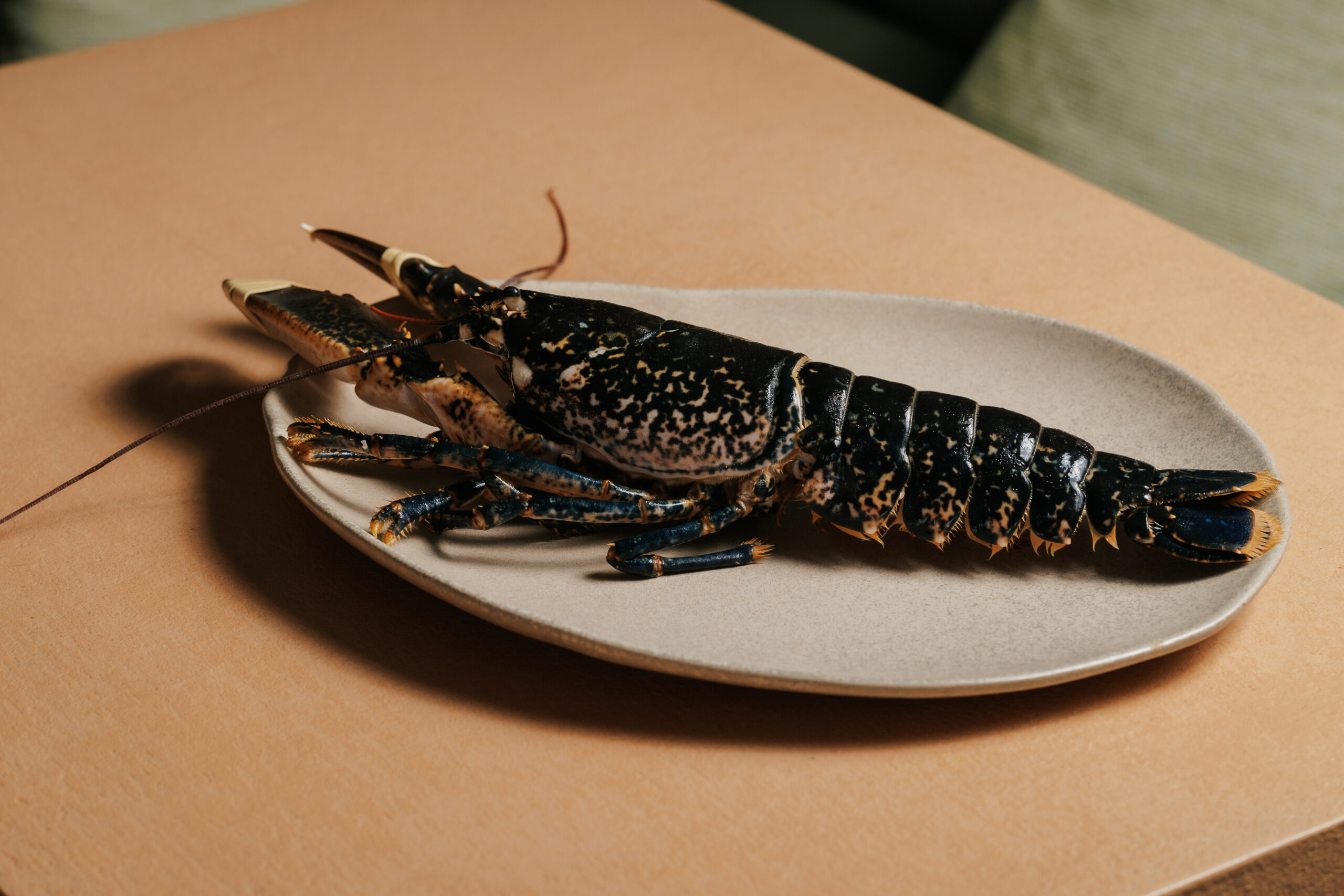 Lobster with caviar and egg